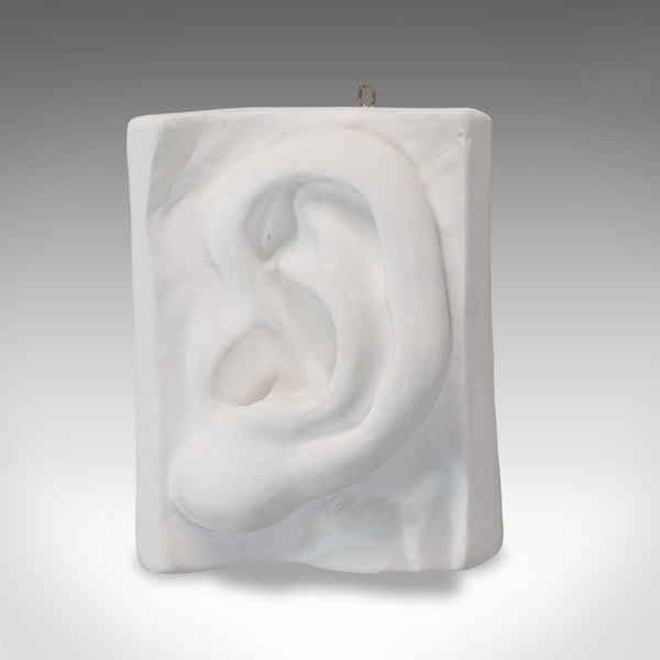Vintage Ear Sculpture, English, Plaster, Haut Relief, Anatomical Portrait, C20th - London Fine Antiques