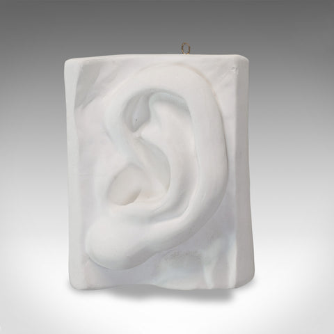 Vintage Ear Sculpture, English, Plaster, Haut Relief, Anatomical Portrait, C20th - London Fine Antiques