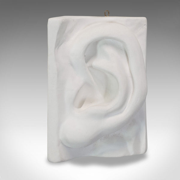 Vintage Ear Sculpture, English, Plaster, Haut Relief, Anatomical Portrait, C20th - London Fine Antiques