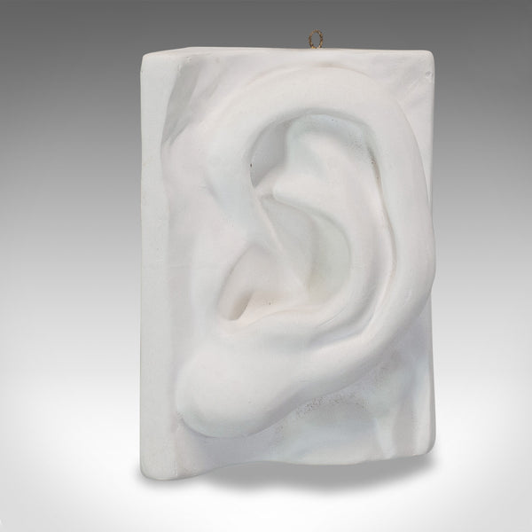 Vintage Ear Sculpture, English, Plaster, Haut Relief, Anatomical Portrait, C20th - London Fine Antiques