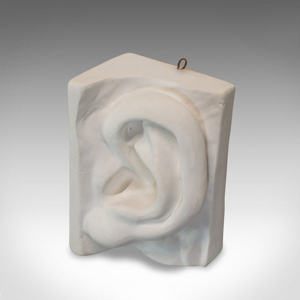 Vintage Ear Sculpture, English, Plaster, Haut Relief, Anatomical Portrait, C20th - London Fine Antiques