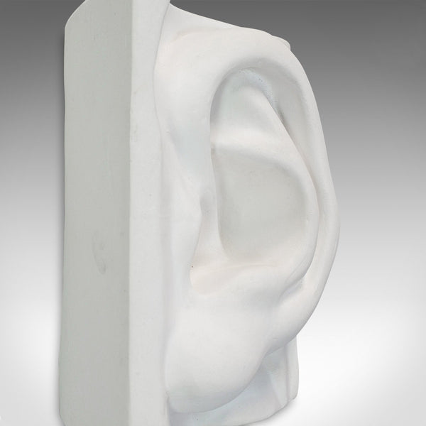 Vintage Ear Sculpture, English, Plaster, Haut Relief, Anatomical Portrait, C20th - London Fine Antiques
