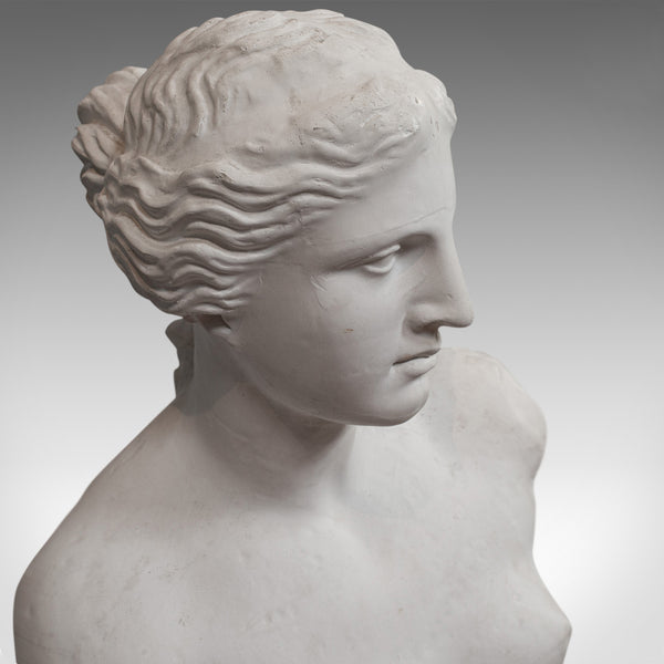 Large Vintage Female Bust, English, Plaster, Venus De Milo, Classical Taste - London Fine Antiques