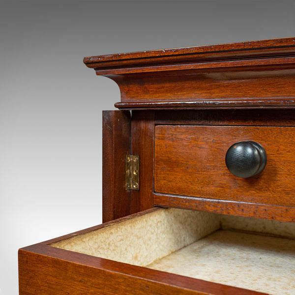 Large Antique Specimen Cabinet, English, Chest of Drawers, Shop, Edwardian - London Fine Antiques