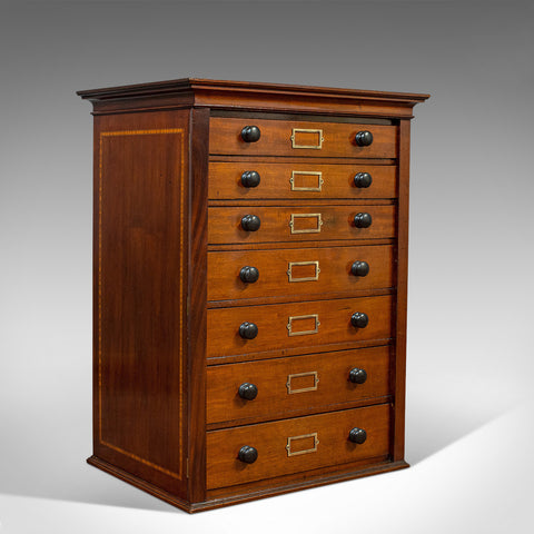 Large Antique Specimen Cabinet, English, Chest of Drawers, Shop, Edwardian - London Fine Antiques