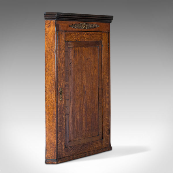 Antique Corner Cabinet, English, Oak, Mahogany, Georgian, Hanging Cupboard, 1800 - London Fine Antiques