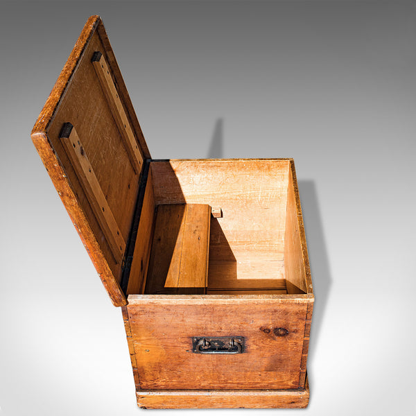 Antique Carriage Chest, English, Blanket Trunk, 19th Century, Circa 1850 - London Fine Antiques