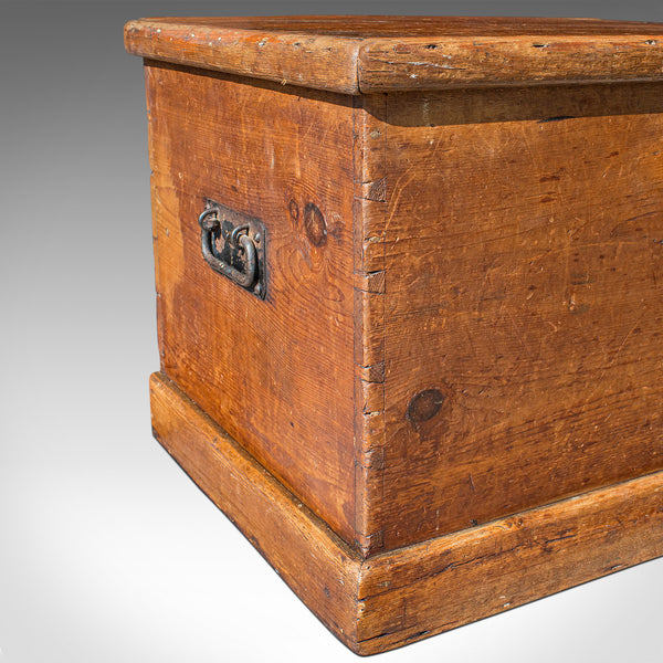 Antique Carriage Chest, English, Blanket Trunk, 19th Century, Circa 1850 - London Fine Antiques