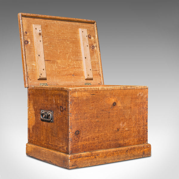 Antique Carriage Chest, English, Blanket Trunk, 19th Century, Circa 1850 - London Fine Antiques