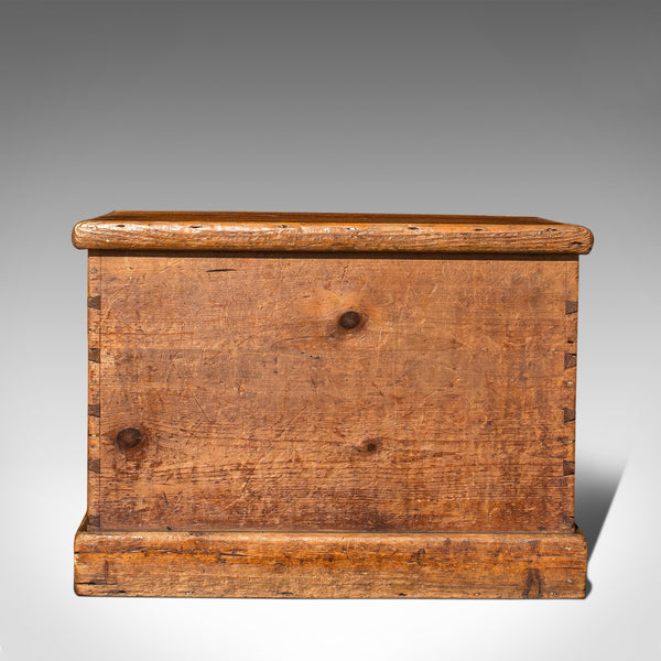 Antique Carriage Chest, English, Blanket Trunk, 19th Century, Circa 1850 - London Fine Antiques