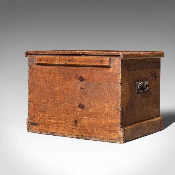 Antique Carriage Chest, English, Blanket Trunk, 19th Century, Circa 1850 - London Fine Antiques