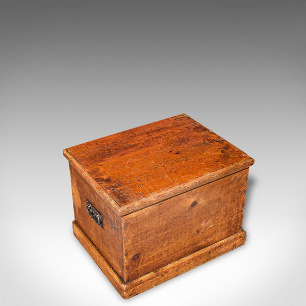 Antique Carriage Chest, English, Blanket Trunk, 19th Century, Circa 1850 - London Fine Antiques