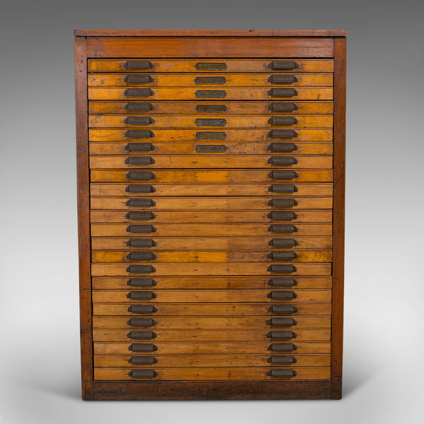 Large Antique Printer's Cabinet, English, Rare, Industrial, Specimen, Art, Vault - London Fine Antiques