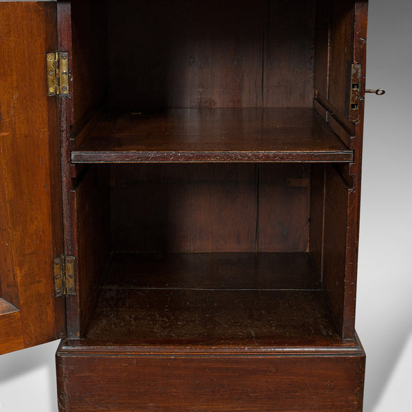 Tall Antique Side Cabinet, English, Mahogany, Bedside, Nightstand, Regency, 1820