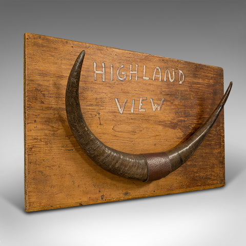 Vintage Mounted Horn Display, Scottish, Longhorn, Pine, Wall, Decorative Piece