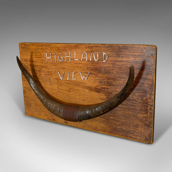 Vintage Mounted Horn Display, Scottish, Longhorn, Pine, Wall, Decorative Piece