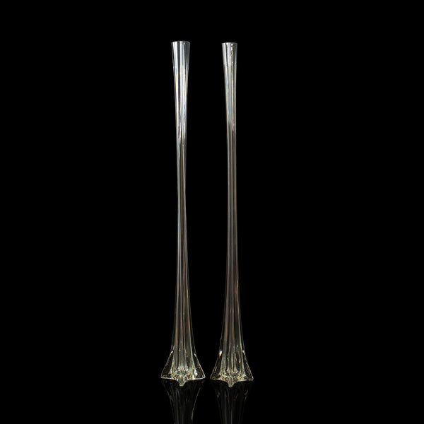 Pair Of Vintage Iris Vases, French, 4' Tall Glass, Gladioli, Flower, Circa 1970