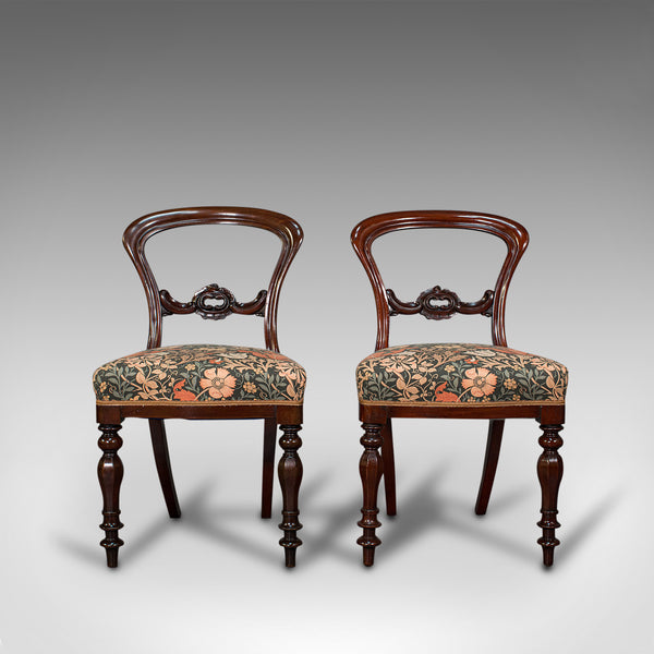 Pair Of, Antique Buckle Back Chairs, English, Walnut, Dining, Side, Victorian