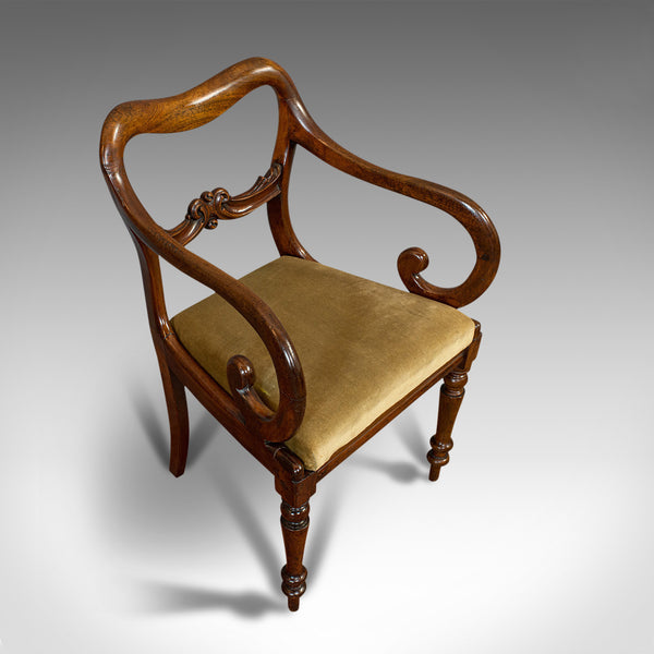 Antique Scroll Arm Chair, English, Mahogany, Buckle Back, Seat, William IV, 1835
