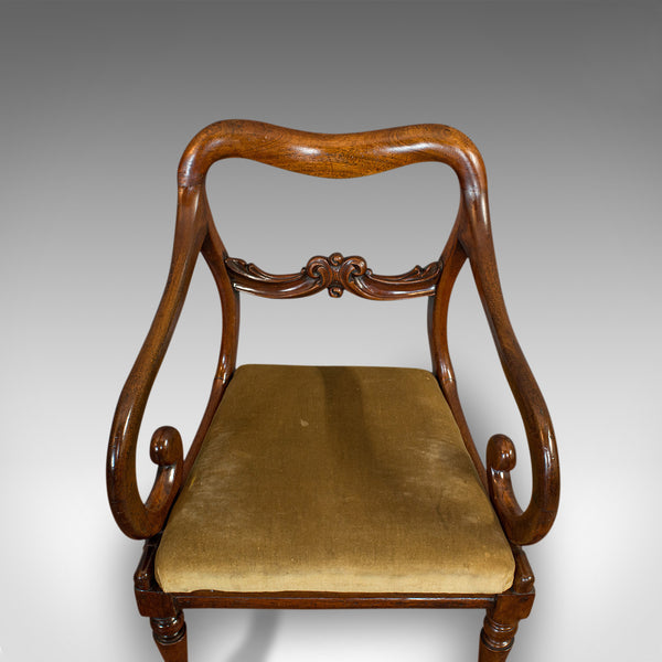 Antique Scroll Arm Chair, English, Mahogany, Buckle Back, Seat, William IV, 1835