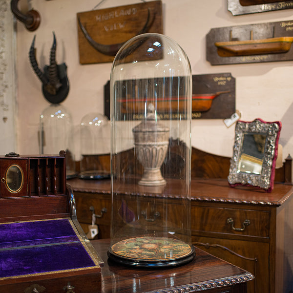 Large Antique Glass Display Dome, English, Taxidermy, Showcase, Victorian, 1900