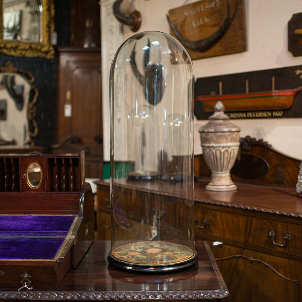 Large Antique Glass Display Dome, English, Taxidermy, Showcase, Victorian, 1900