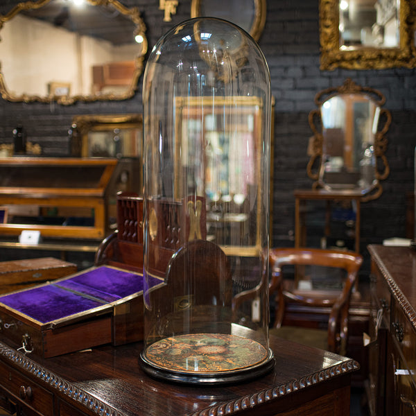 Large Antique Glass Display Dome, English, Taxidermy, Showcase, Victorian, 1900