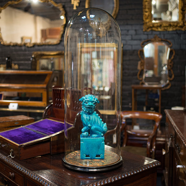 Large Antique Glass Display Dome, English, Taxidermy, Showcase, Victorian, 1900