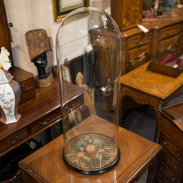 Large Antique Glass Display Dome, English, Taxidermy, Showcase, Victorian, 1900
