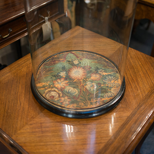 Large Antique Glass Display Dome, English, Taxidermy, Showcase, Victorian, 1900