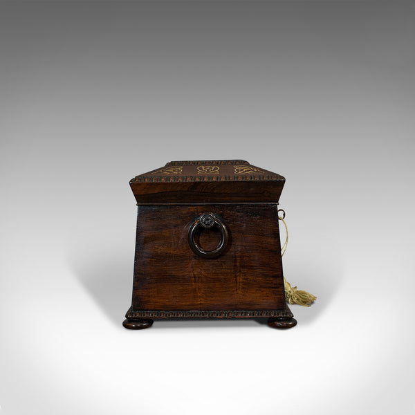 Antique Tea Caddy, English, Rosewood, Chest, Thomas of London, Regency, C.1820