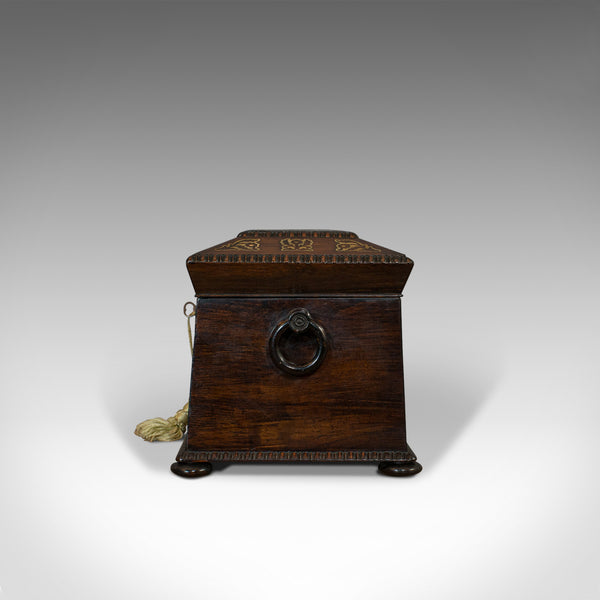 Antique Tea Caddy, English, Rosewood, Chest, Thomas of London, Regency, C.1820