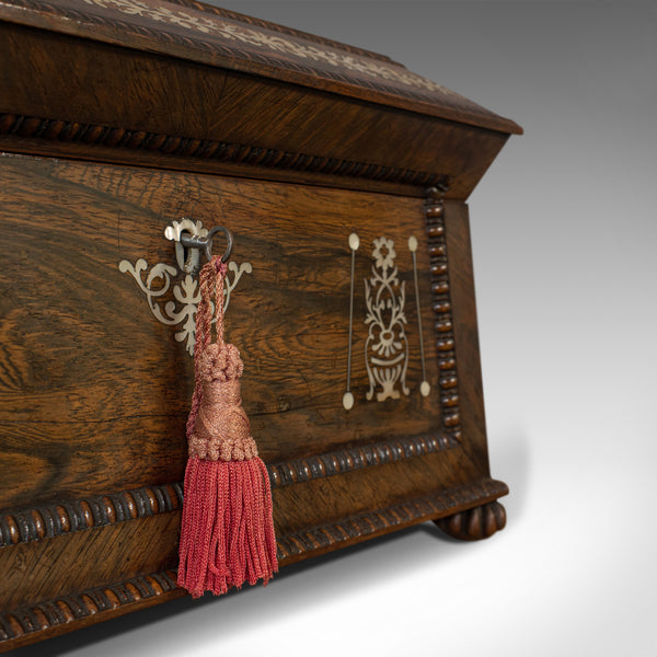 Ornate Antique Tea Caddy, English, Rosewood, Sarcophagus, Chest, Regency, C.1820