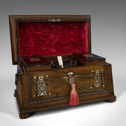 Ornate Antique Tea Caddy, English, Rosewood, Sarcophagus, Chest, Regency, C.1820