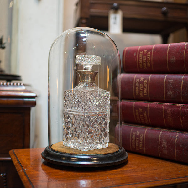 Antique Taxidermy Showcase, English, Glass, Leather, Display Dome, 19th Century