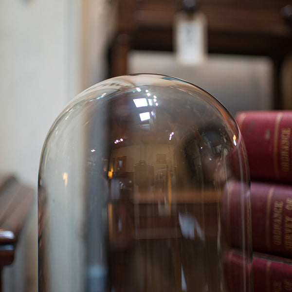 Antique Taxidermy Showcase, English, Glass, Leather, Display Dome, 19th Century