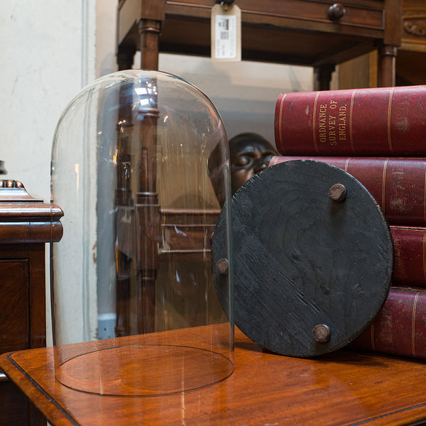 Antique Taxidermy Showcase, English, Glass, Leather, Display Dome, 19th Century