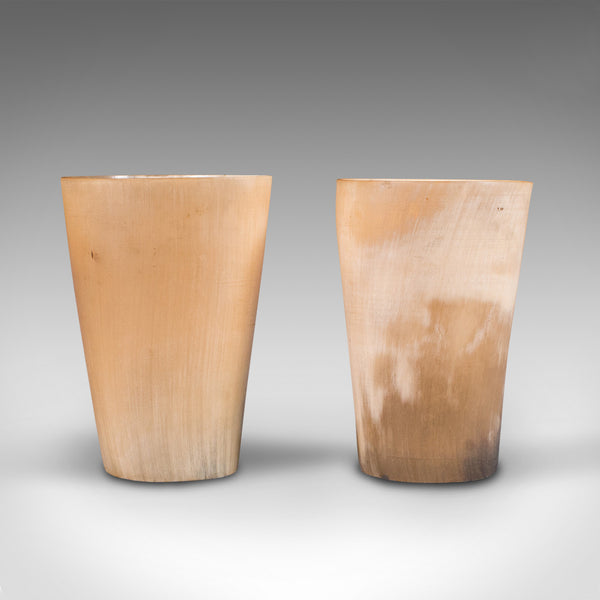 Pair Of Antique Scrimshaw Cups, Welsh, Ram's Horn, Carved Tumbler, Victorian