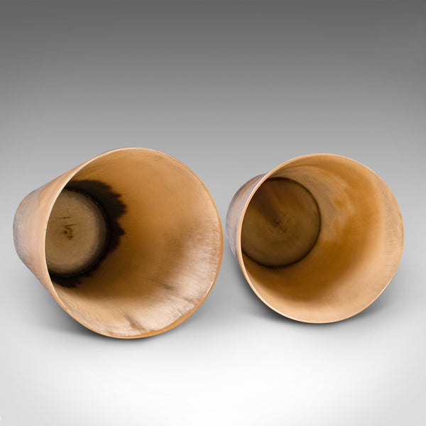 Pair Of Antique Scrimshaw Cups, Welsh, Ram's Horn, Carved Tumbler, Victorian