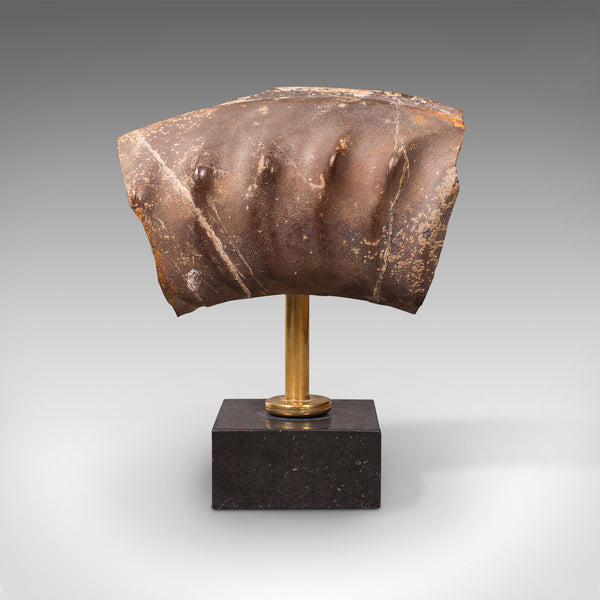 Vintage Display Fossil, English, Geological Study, Ornament, Desktop Paperweight