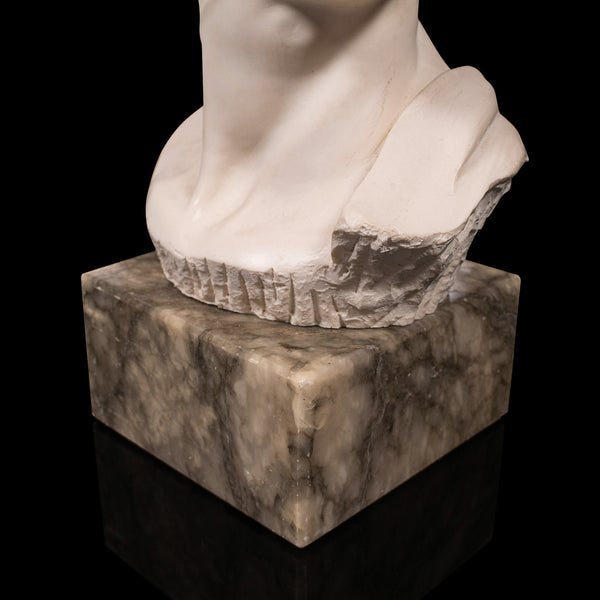 Vintage Portrait Bust, Italian, Marble Base, Statue, Michelangelo, David, Decor