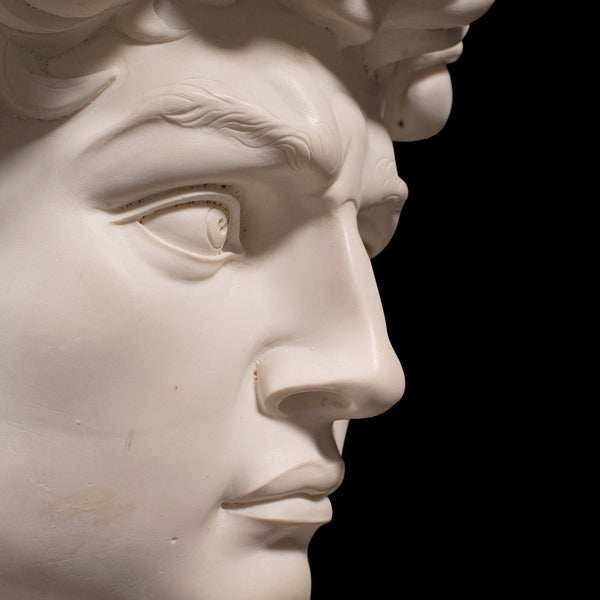 Vintage Portrait Bust, Italian, Marble Base, Statue, Michelangelo, David, Decor
