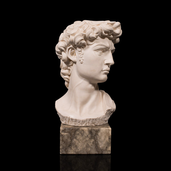 Vintage Portrait Bust, Italian, Marble Base, Statue, Michelangelo, David, Decor
