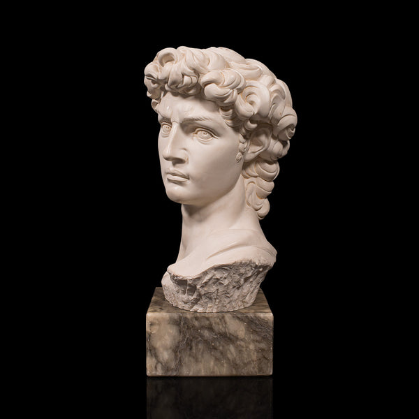 Vintage Portrait Bust, Italian, Marble Base, Statue, Michelangelo, David, Decor