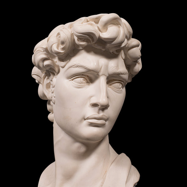 Vintage Portrait Bust, Italian, Marble Base, Statue, Michelangelo, David, Decor