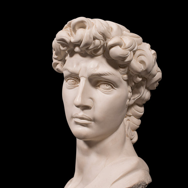 Vintage Portrait Bust, Italian, Marble Base, Statue, Michelangelo, David, Decor