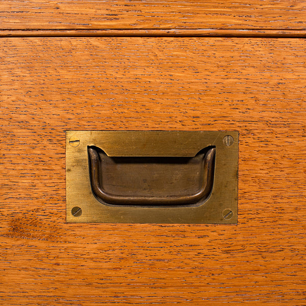 Antique Collector's Specimen Case, English, Oak, Chest, Jewellery Box, Edwardian