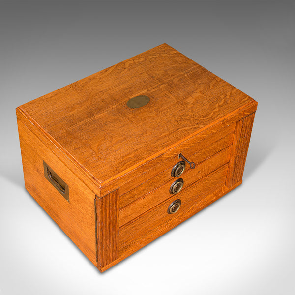 Antique Collector's Specimen Case, English, Oak, Chest, Jewellery Box, Edwardian
