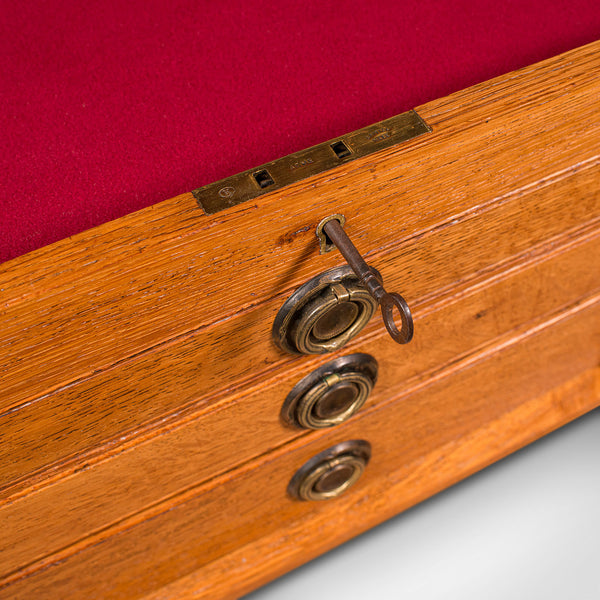 Antique Collector's Specimen Case, English, Oak, Chest, Jewellery Box, Edwardian