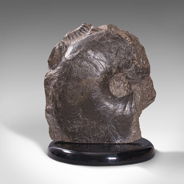 Large Antique Decorative Ammonite, English, Fossil, Geological Ornament, C.1910
